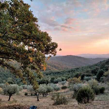 Вілла Nocini Di Maremma Tatti Екстер'єр фото