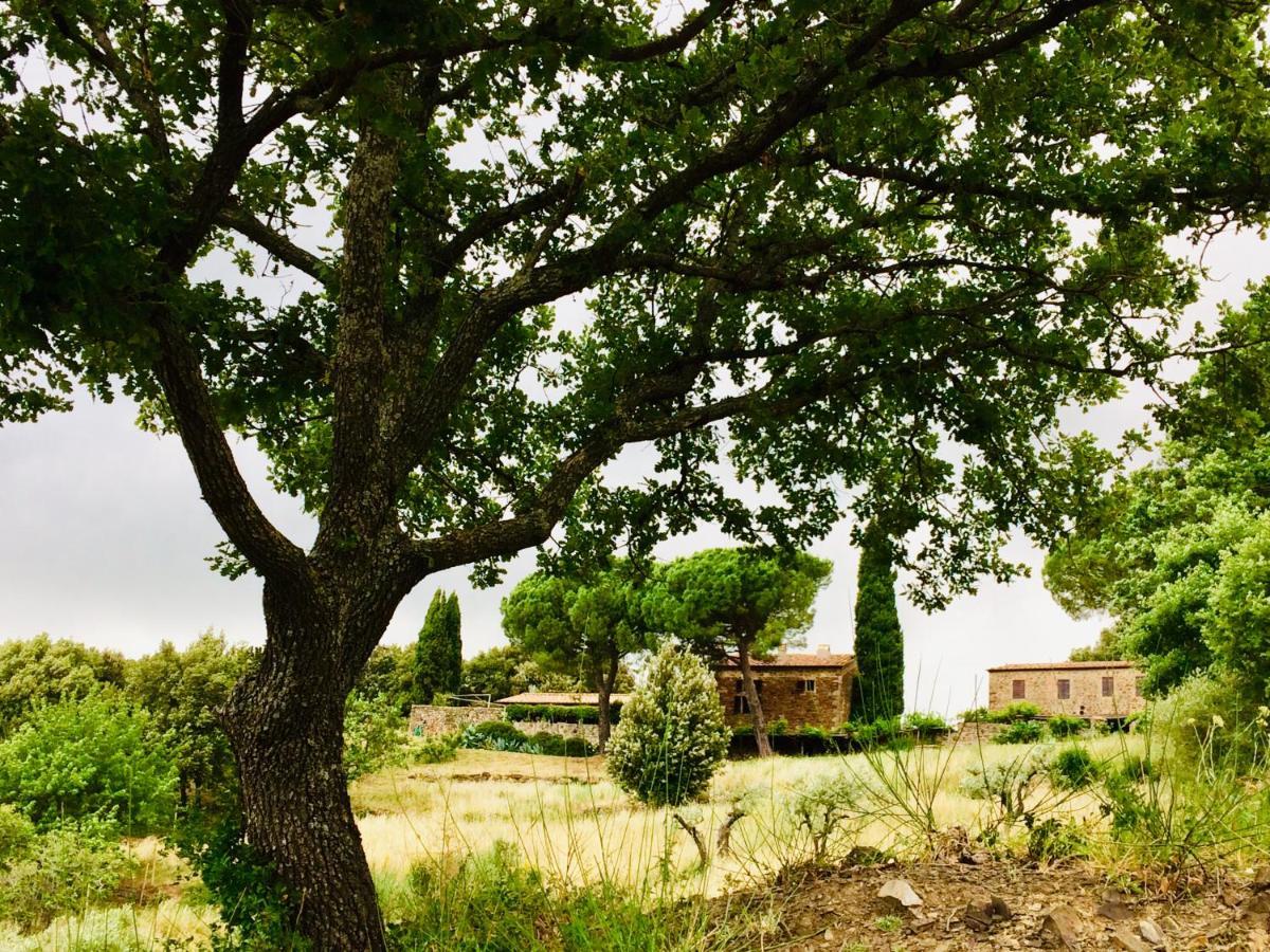 Вілла Nocini Di Maremma Tatti Екстер'єр фото