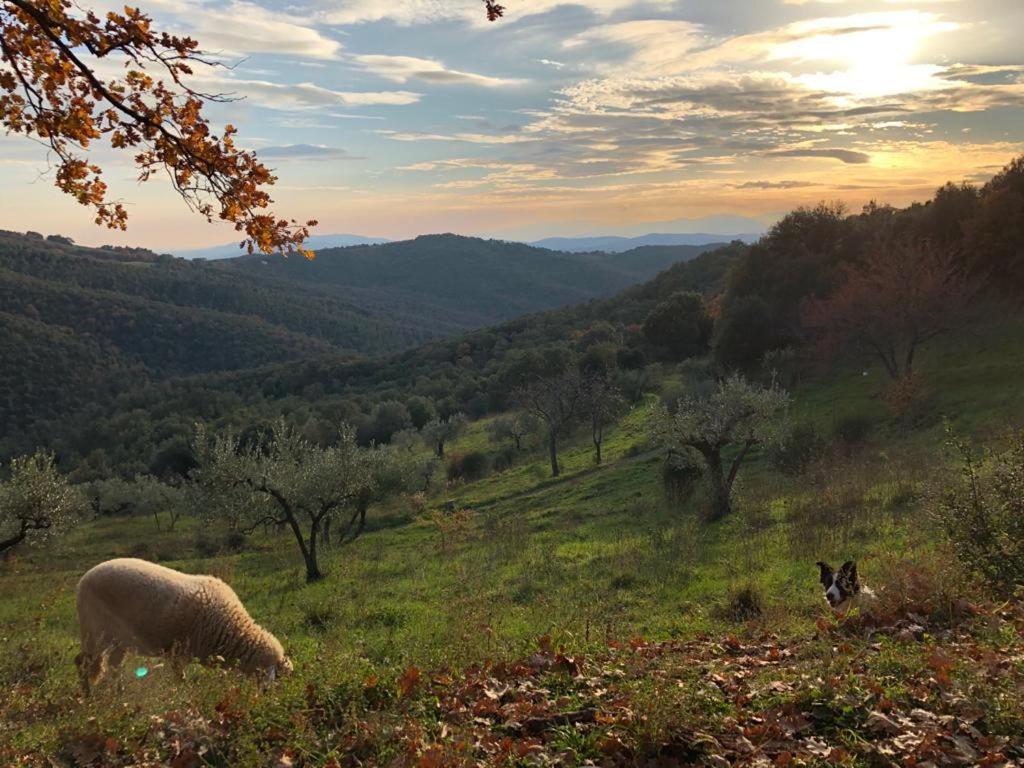 Вілла Nocini Di Maremma Tatti Екстер'єр фото