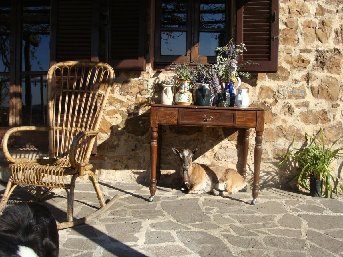 Вілла Nocini Di Maremma Tatti Екстер'єр фото