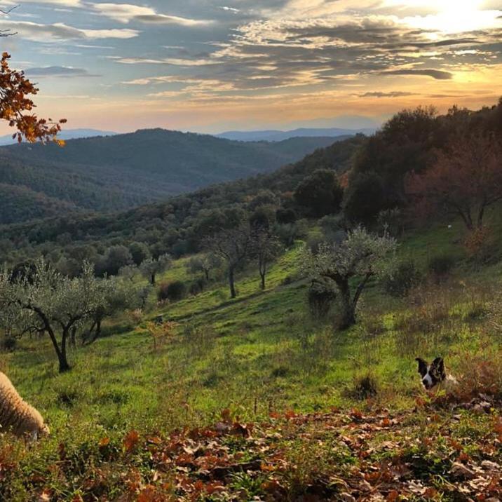 Вілла Nocini Di Maremma Tatti Екстер'єр фото