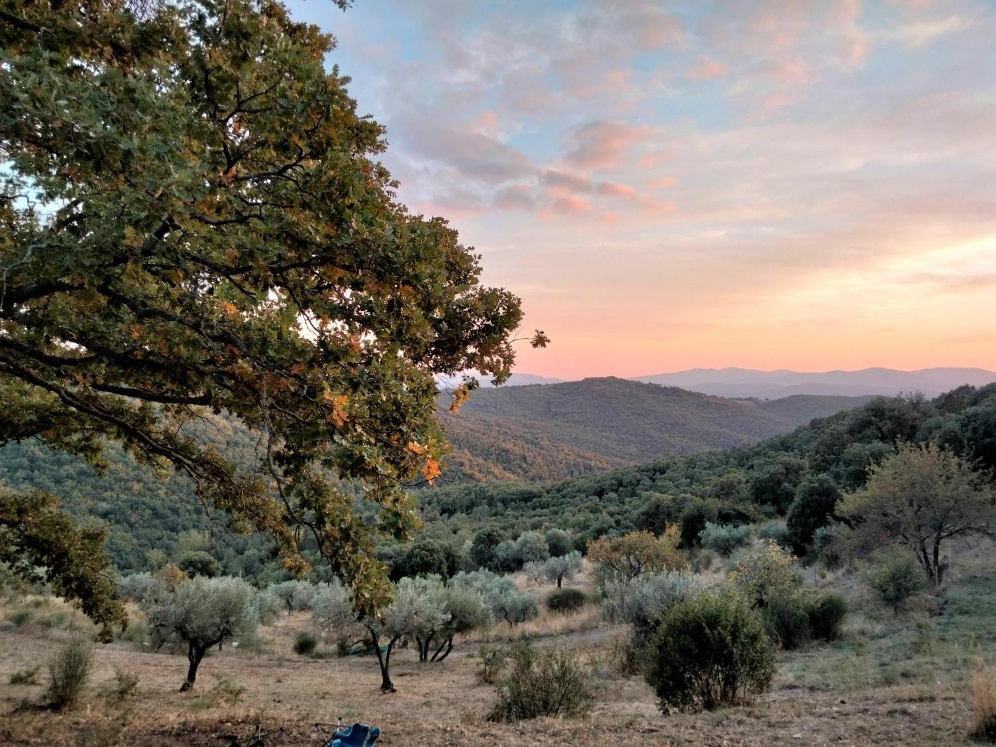 Вілла Nocini Di Maremma Tatti Екстер'єр фото