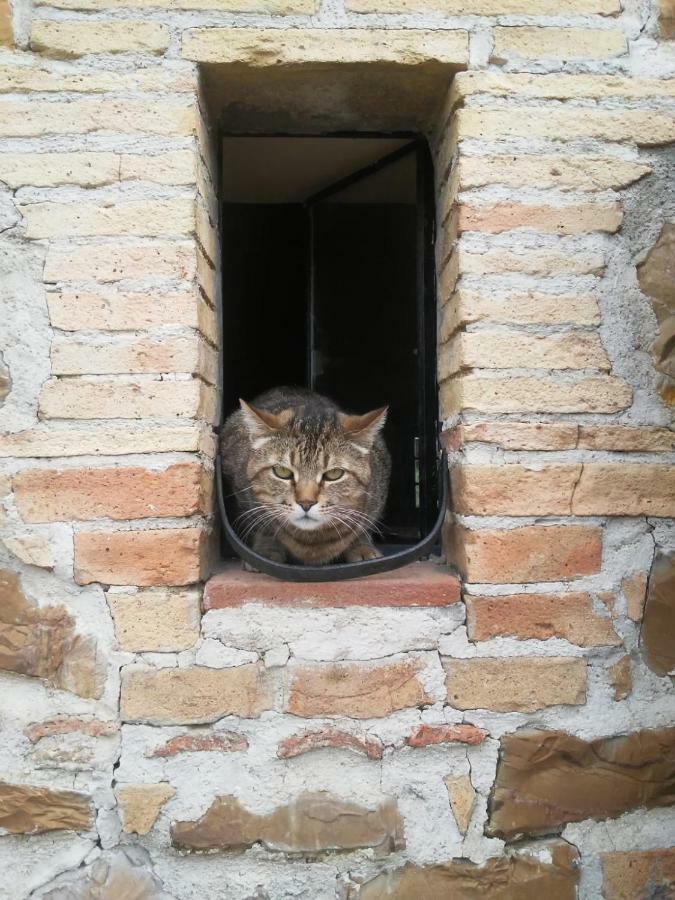 Вілла Nocini Di Maremma Tatti Екстер'єр фото